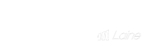 Stakewiz Logo